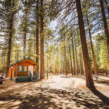 Tahoe Valley Cabin 1 Саус Лэйк Тахо Экстерьер фото