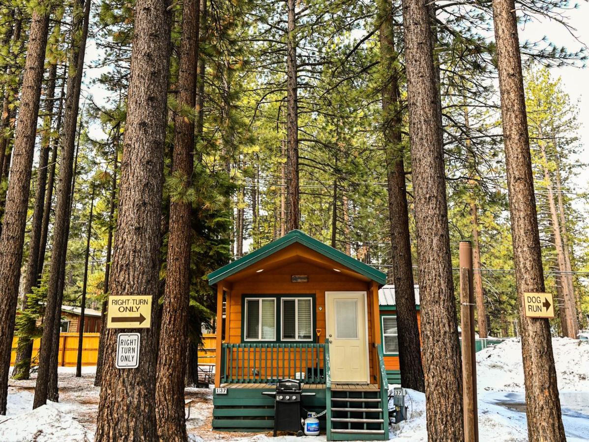 Tahoe Valley Cabin 1 Саус Лэйк Тахо Экстерьер фото